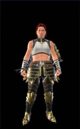 クロムメタルシリーズ画像