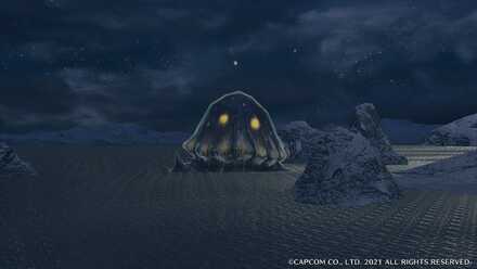 ウミウシボウズの画像