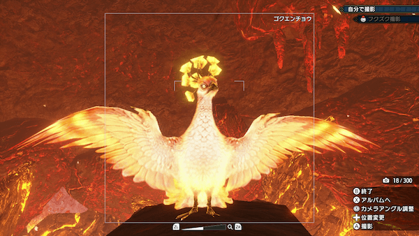 必ずカメラで撮影しよう