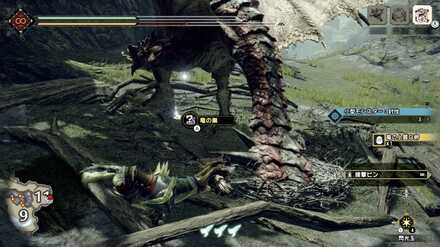 竜の上質な卵を採取する