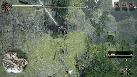 大翔蟲を使い崖上へ