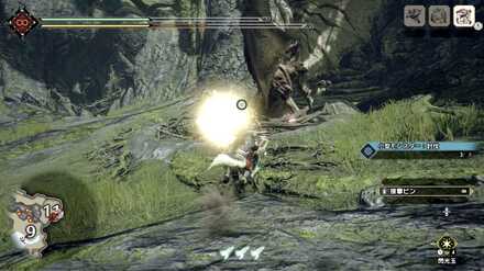 大型モンスターは閃光玉で足止めしよう