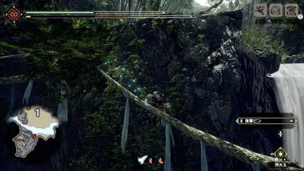 エリア1からメインキャンプへはツタを使う