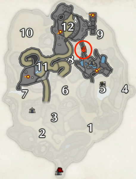 紅ヒトダマドリの砂原