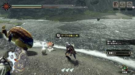 ガーグァの卵を採取する