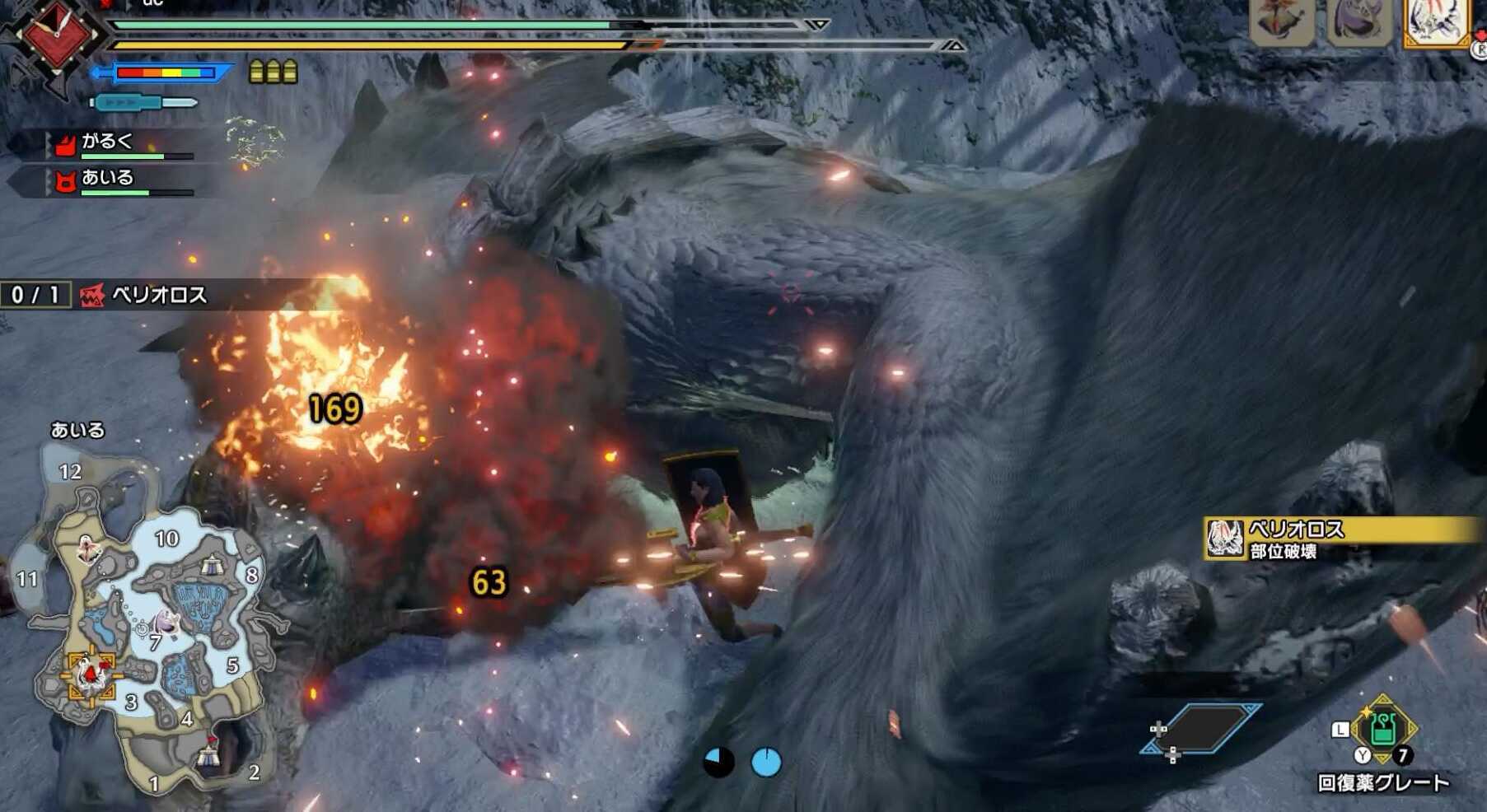 ベリオロス部位破壊