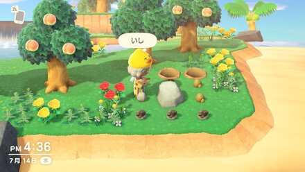 離島ツアーで岩を叩く