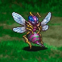 クィーンビーの画像