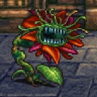 デスフラワーの画像