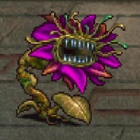 あくまのはなの画像