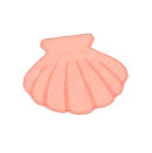 かいがらのラグ画像