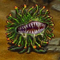 モルボルの画像