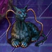 クアールの画像