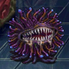 モルボルワーストの画像