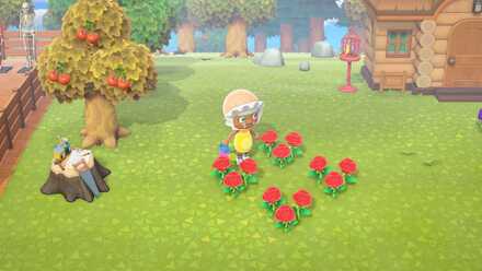 赤いバラを交配する