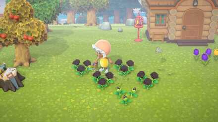 黒バラに金のジョウロで水やりする