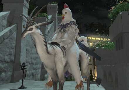 フェトゥで入手可能なマウント