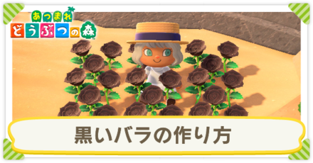 黒いバラの作り方