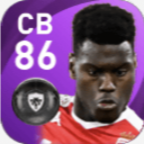 FPベノワ・べディアシレ(4/19)の画像