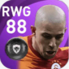 FPソフィアヌ・フェグリ(4/19)の画像