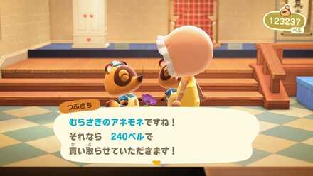 紫のアネモネの売値は240ベル