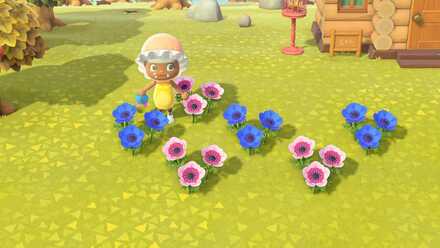 ピンクと青を交配する