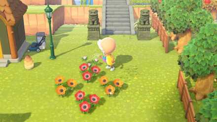 赤とオレンジのアネモネを交配する