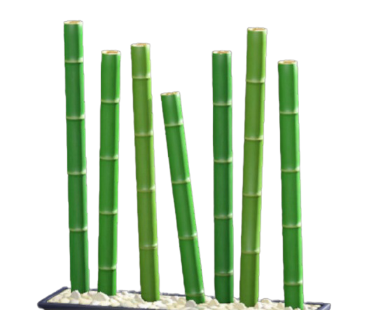 たけのスクリーン画像