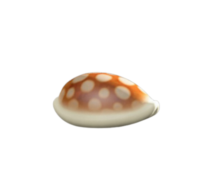 かいがらのスツール画像