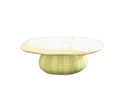 かいがらのテーブル画像