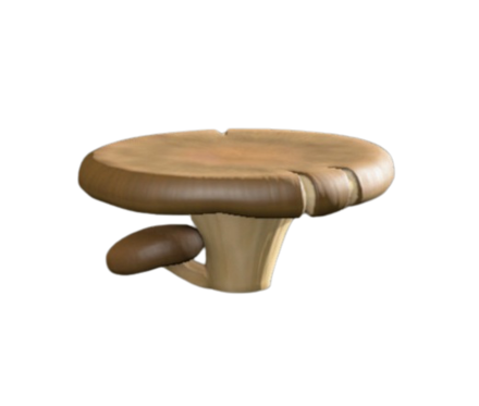 キノコのテーブル画像