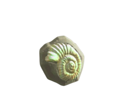 かせきのドアプレート画像