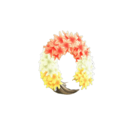 ヒヤシンスのリース画像