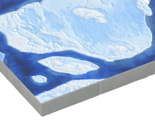 りゅうひょうのゆか画像