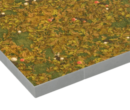 キノコのもりのゆか画像