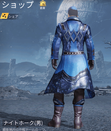 ナイトホーク画像