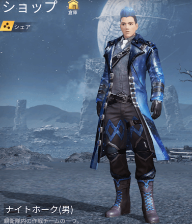 ナイトホーク画像