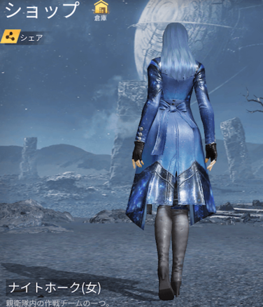 ナイトホーク画像