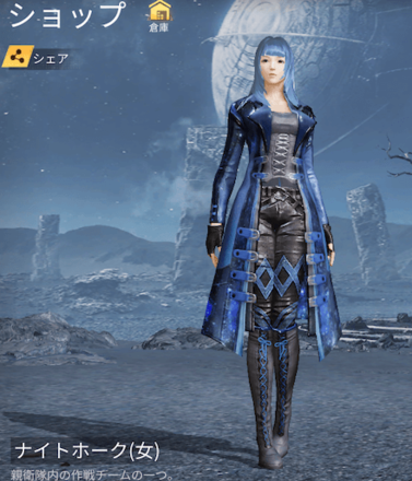 ナイトホーク画像