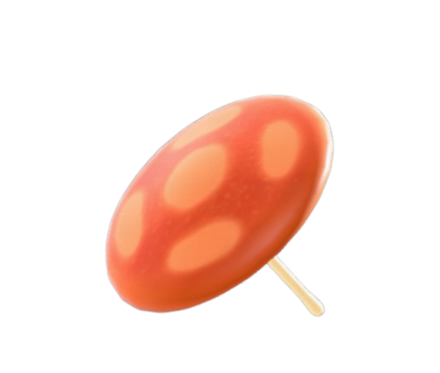 キノコのかさ画像