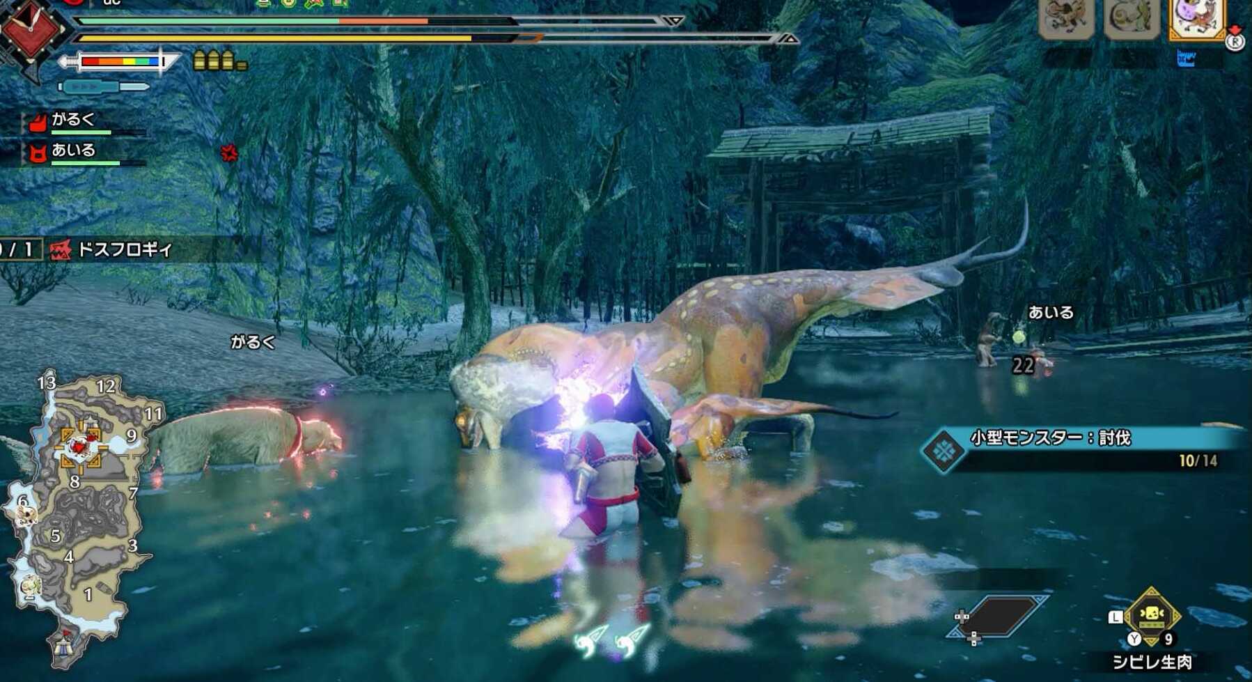 ドスフロギィ生肉