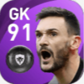 FPウーゴ・ロリス(4/26)の画像