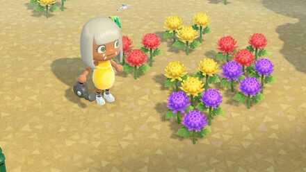 緑のキクの作り方