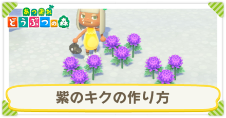 紫のキクの作り方