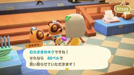 紫のキクの作り方