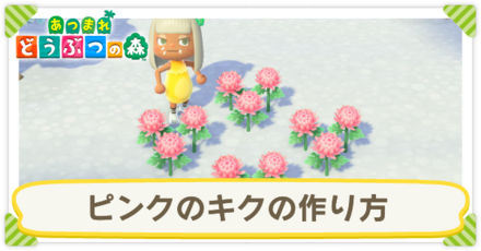 あつ森 ピンクのキクの作り方 増やし方と使い道 あつまれどうぶつの森 ゲームエイト