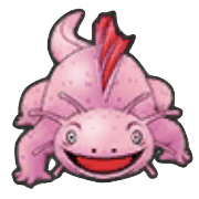 マッドルーパー画像