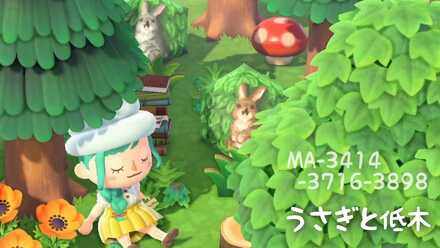 うさぎと低木の画像