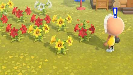 オレンジのユリの作り方