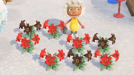 黒いユリの作り方